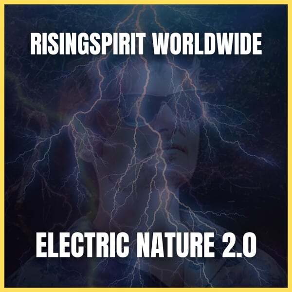 Cover art for Electric Nature 2.0